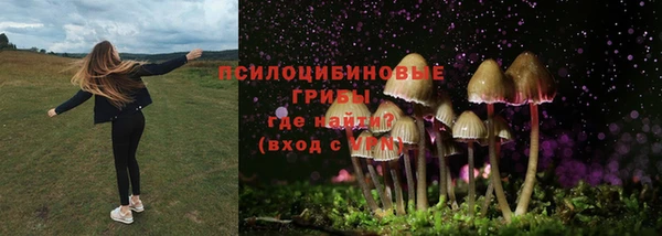 дмт Верхний Тагил